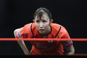 领先优势明显首场状态出色，篮网观众沸腾！，Ming重返赛场引发球迷热议的简单介绍